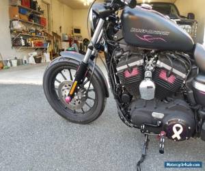 2011 Harley-Davidson Sportster for Sale