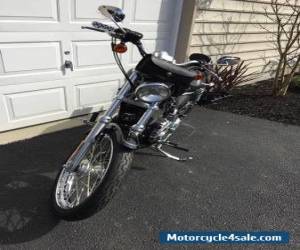 Motorcycle 2004 Harley-Davidson Sportster Custom for Sale