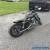 1981 Harley-Davidson FXE  for Sale