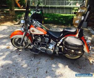 Motorcycle 1998 Harley-Davidson Softail for Sale