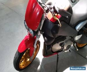 Motorcycle 2004 Buell Lightning for Sale