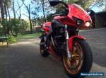 Buell Firebolt Red XB12R for Sale