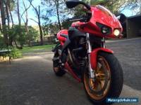 Buell Firebolt Red XB12R