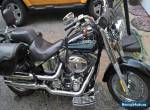 2010 Harley-Davidson Softail for Sale