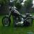 2009 Harley-Davidson Softail for Sale