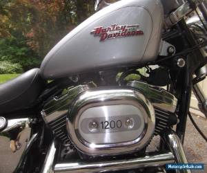 Motorcycle 1999 Harley-Davidson Sportster for Sale