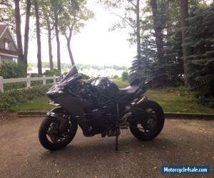 Motorcycle 2016 Kawasaki Ninja for Sale