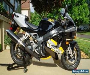 Motorcycle 2000 Kawasaki Ninja for Sale