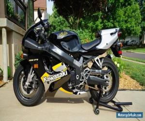 Motorcycle 2000 Kawasaki Ninja for Sale