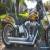 2007 Harley-Davidson Softail for Sale