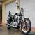 2013 Harley-Davidson Sportster for Sale