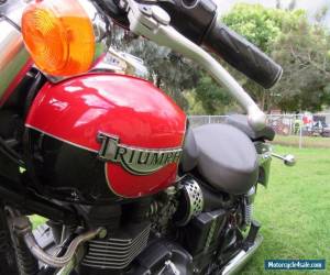 Motorcycle 2007 Triumph Speedie for Sale