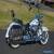 1997 Harley-Davidson Softail for Sale