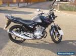 Yamaha YBR125 for Sale