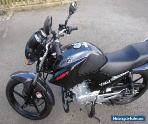Motorcycle Yamaha YBR125 for Sale