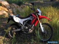 Honda CRF250L Road Registered (Pre-Lowered) Trail Bike