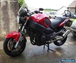 Motorcycle HONDA X11 sf  Great bike , not for the purists Might SWAP or P /EX for Sale