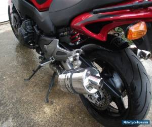 Motorcycle HONDA X11 sf  Great bike , not for the purists Might SWAP or P /EX for Sale