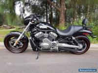 Harley Davidson Night Rod  Vrod V Rod VRSCD