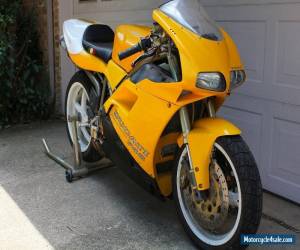 Motorcycle 1997 Ducati Superbike for Sale