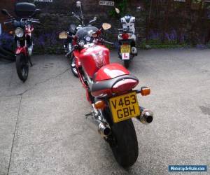 Motorcycle 1999 Honda VTR 1000 Firestorm for Sale