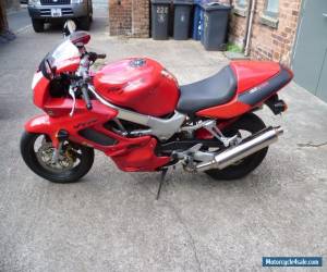 Motorcycle 1999 Honda VTR 1000 Firestorm for Sale