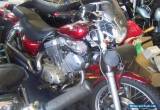 YAMAHA 535 VIRAGO for Sale