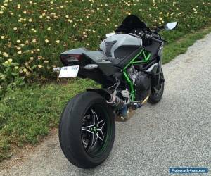 Motorcycle 2015 Kawasaki Ninja for Sale