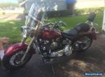 2004 Harley-Davidson Softail for Sale