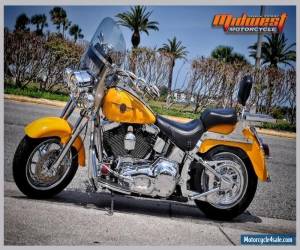 Motorcycle 2000 Harley-Davidson Softail for Sale