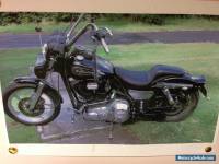 1988 Harley Davidson FXR Lowrider