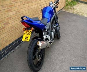 Motorcycle Suzuki SV 650 2005 '55 naked in blue for Sale