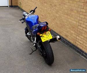 Motorcycle Suzuki SV 650 2005 '55 naked in blue for Sale