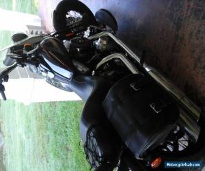 Motorcycle 2008 Harley-Davidson Softail for Sale