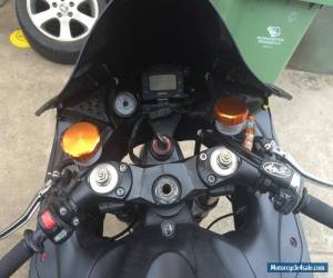 Motorcycle 2006 Kawasaki ZX14 Race/Drag bike 193rwhp for Sale