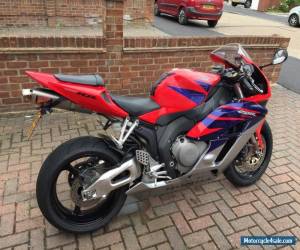 Motorcycle 2005 Honda CBR1000RR-5 Fireblade for Sale