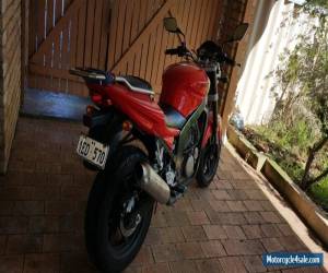 Motorcycle Hyosung GT 250 for Sale