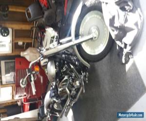 Motorcycle 2003 Harley-Davidson Softail for Sale