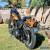 2004 Harley-Davidson Softail for Sale