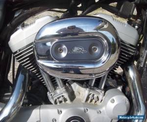 Motorcycle 2005 Harley-Davidson Sportster for Sale