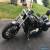 2015 Harley-Davidson Softail for Sale