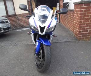 Motorcycle HONDA CBR 600 RR for Sale