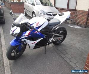 Motorcycle HONDA CBR 600 RR for Sale