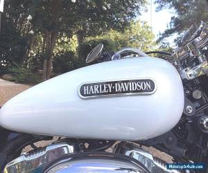 Motorcycle 2007 Harley-Davidson Sportster for Sale