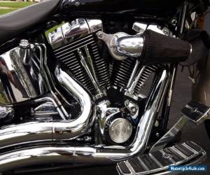 Motorcycle 2005 Harley-Davidson Softail for Sale