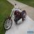 2008 Harley-Davidson Softail for Sale