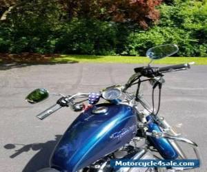 Motorcycle 2001 Harley-Davidson Sportster for Sale