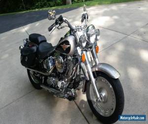 Motorcycle 1996 Harley-Davidson Softail for Sale