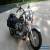 1996 Harley-Davidson Softail for Sale