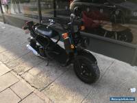 2010 HONDA ZOOMER 50 RUCKUS **damaged salvage, stollen recovered** MONKEY BIKE